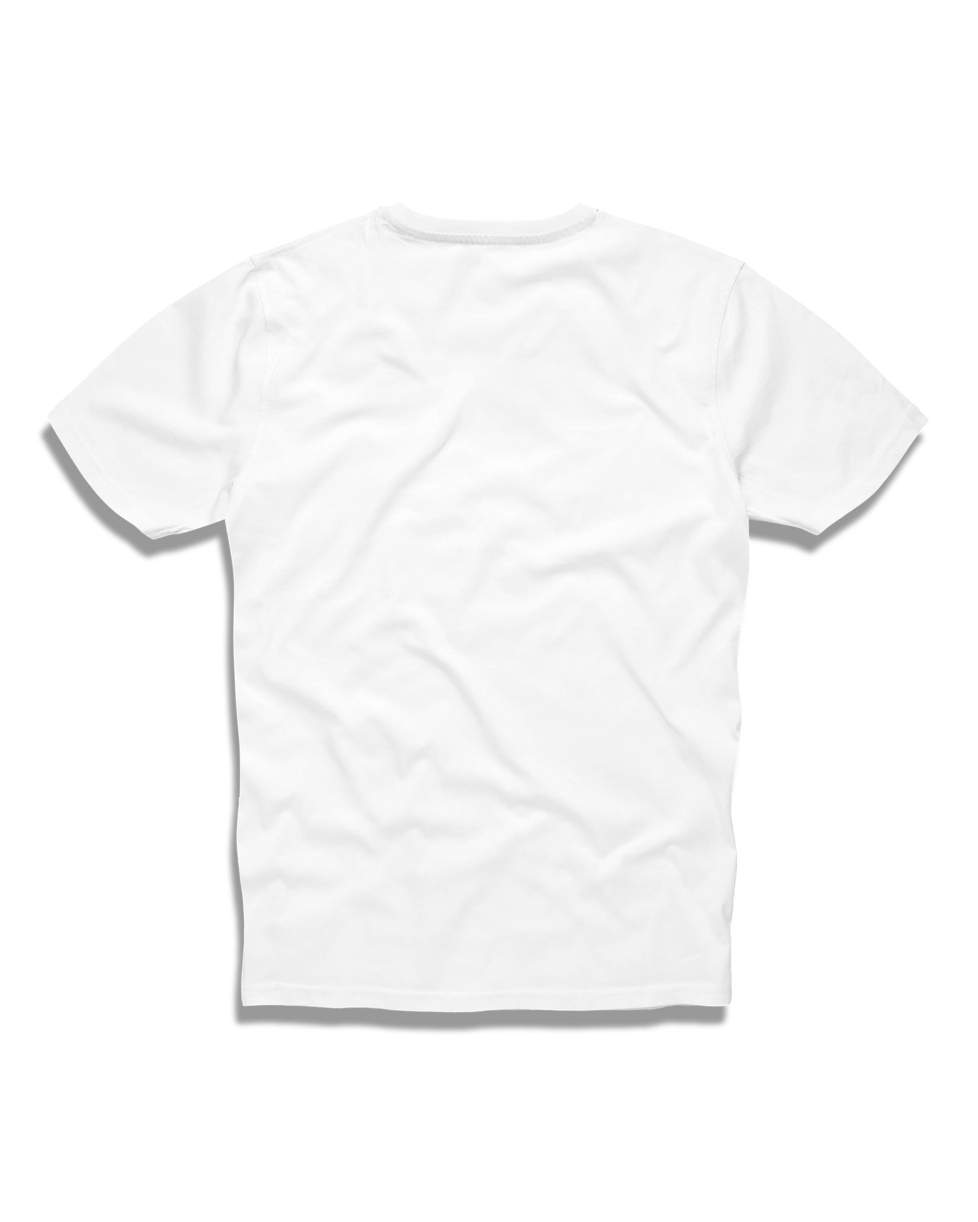 Pánske tričko BASIC V WHITE