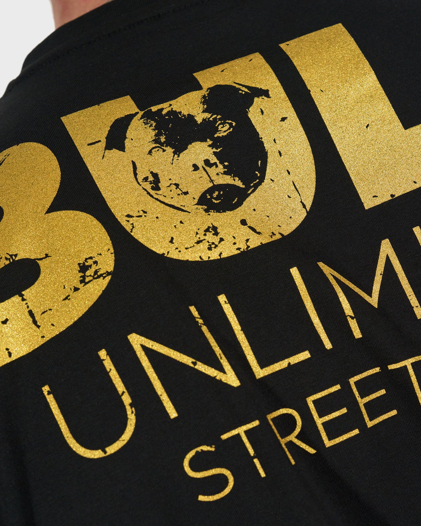 Pánske tričko BULL II BLACK