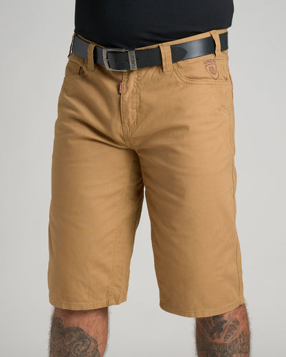 Pánske kraťasy BROOK II BROWN